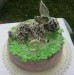 IMG_1571